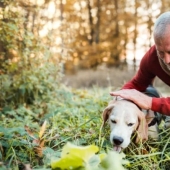 How the phrase "A dog is a man's best friend" came about