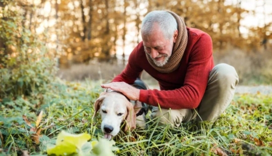 How the phrase "A dog is a man's best friend" came about