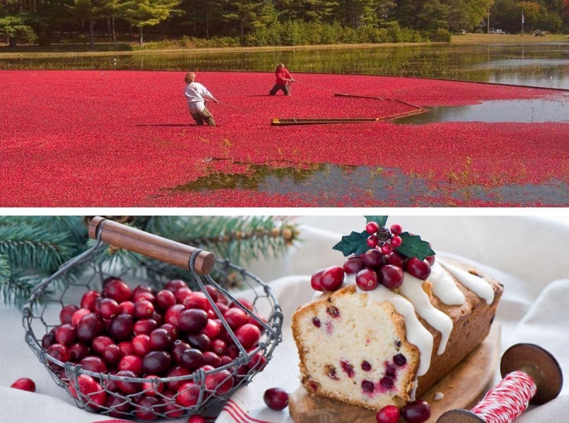 How to grow some fruit and vegetables: an unusual facts about the usual products How to grow some fruit and vegetables: an unusual facts about the usual products