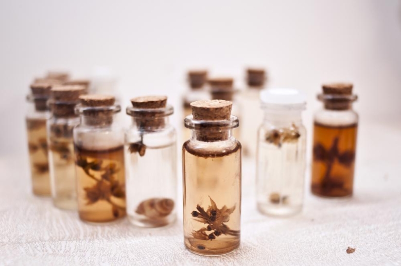 How to live the richest Romanian witches How to live the richest Romanian witches