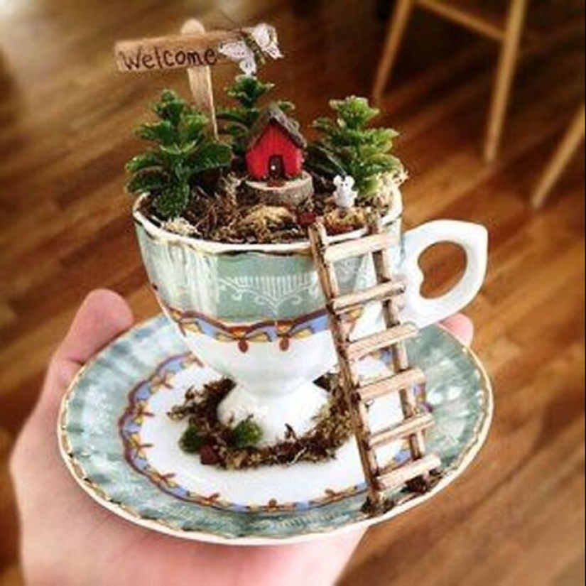 How to make a garden in a teacup: 25 creative ideas