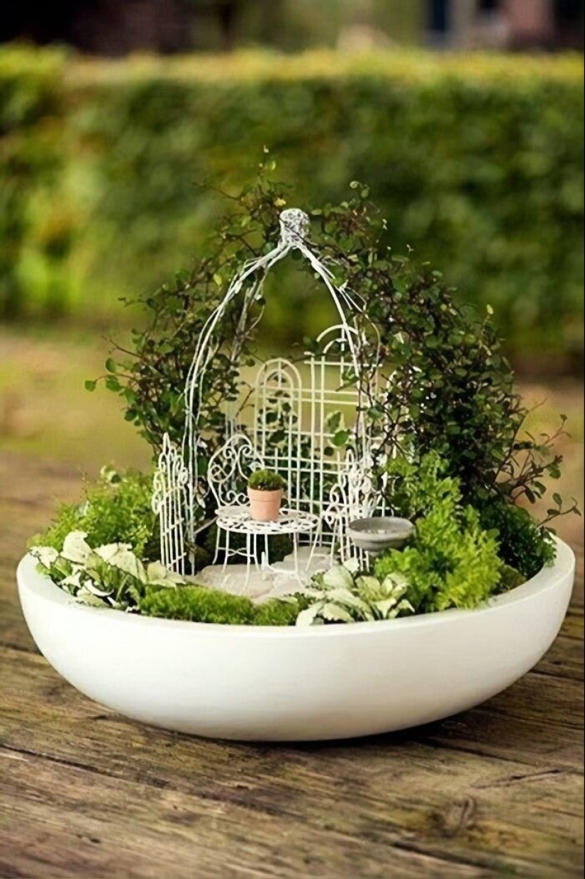 How to make a garden in a teacup: 25 creative ideas