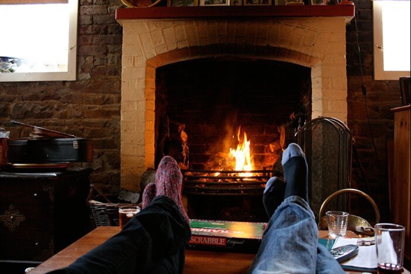 How to save the planet: 20 simple things anyone can do