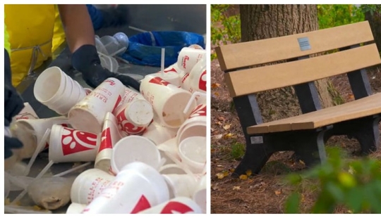 How used disposable tableware turns into park benches How used disposable tableware turns into park benches