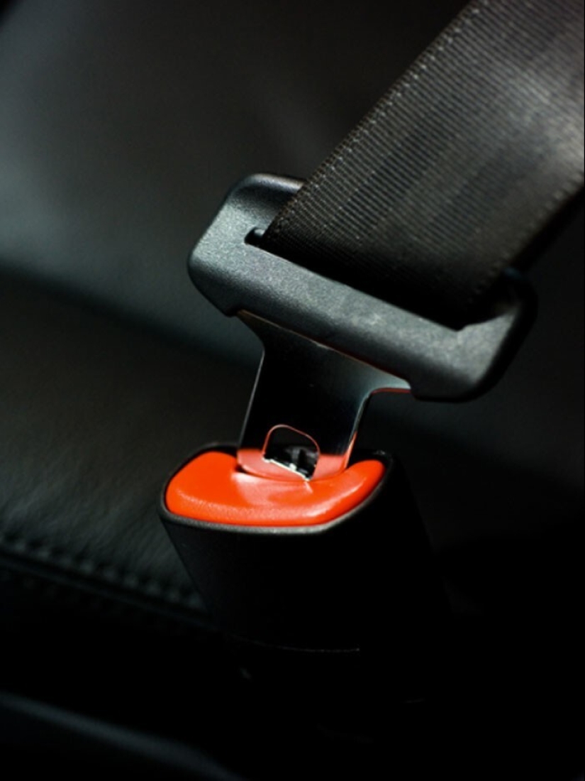 Hoy he aprendido: 30 datos interesantes para los más curiosos