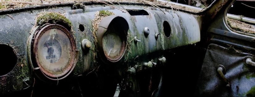 Huge traffic jam in the Belgian forest