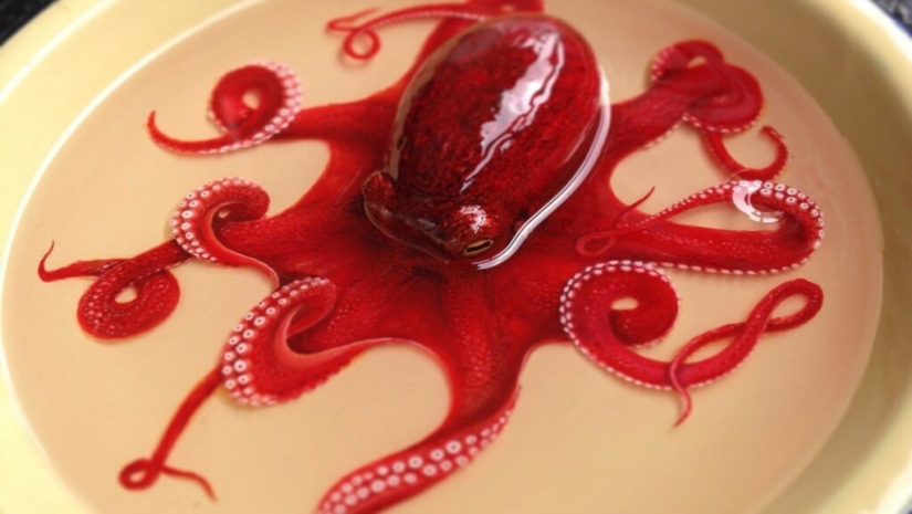 Hyperrealistic acrylic and resin animals Hyperrealistic acrylic and resin animals