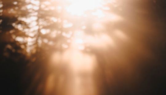 I Am A Pet Photographer From British Columbia, And Here Are 10 Of My Favorite Dog Shots