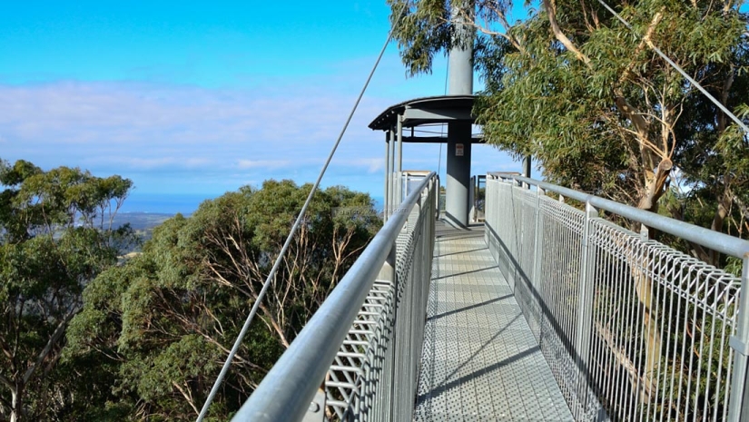 "I can see everything from above": 22 aerial photo of Karolis Janulis