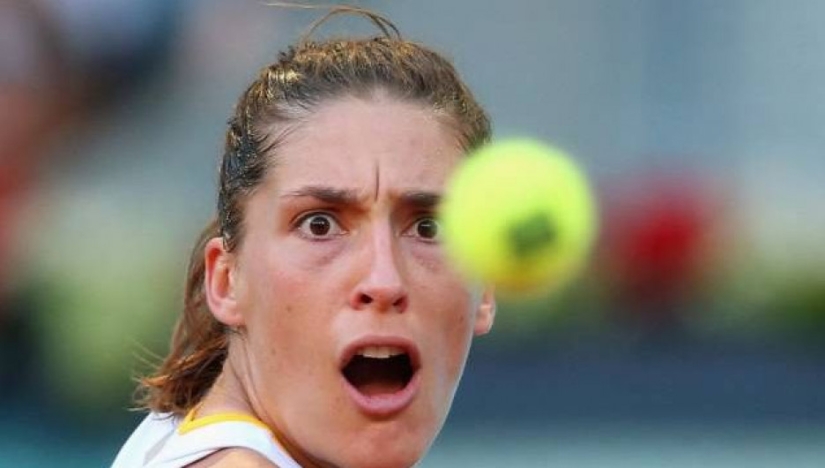 I did and immediately regretted: 17 photos and GIFs that will cheer you up