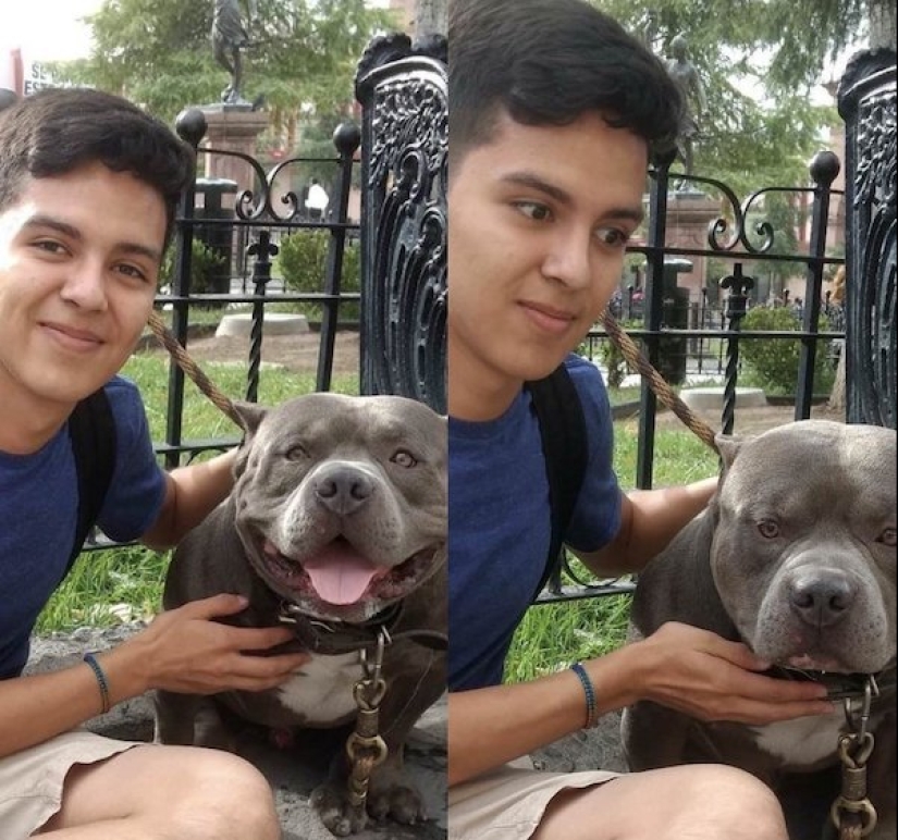 I did and immediately regretted: 17 photos and GIFs that will cheer you up