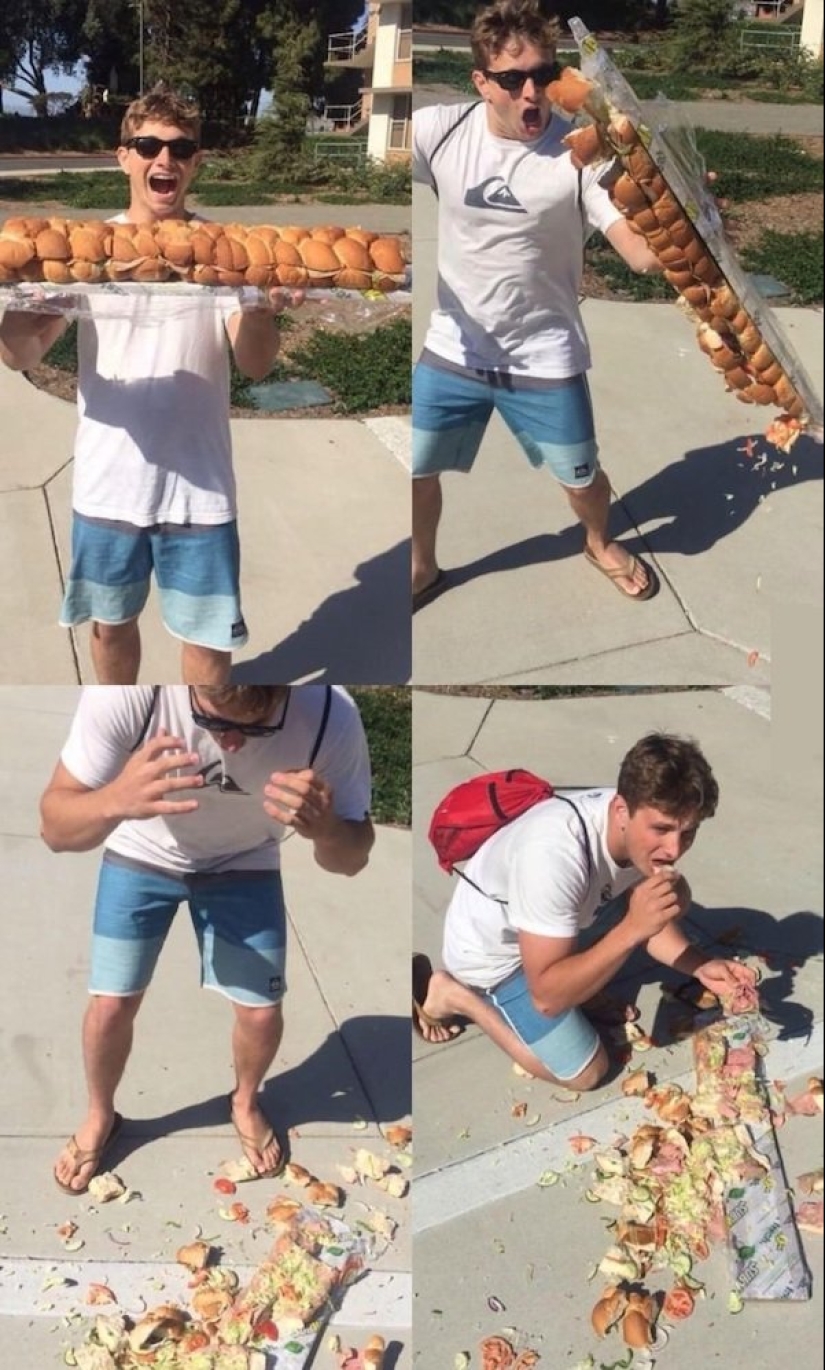 I did and immediately regretted: 17 photos and GIFs that will cheer you up