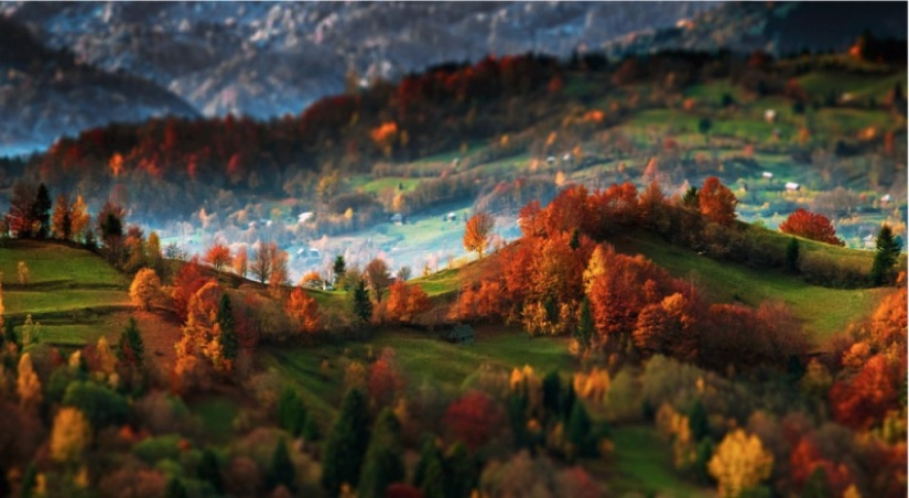 I get up at 5 in the morning, climb the mountains, and there's such a beauty there I get up at 5 in the morning, climb the mountains, and there's such a beauty there