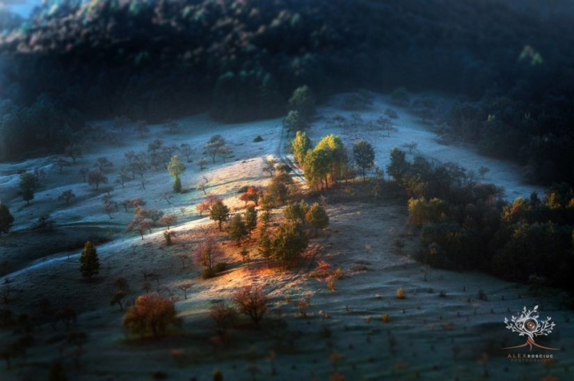 I get up at 5 in the morning, climb the mountains, and there's such a beauty there I get up at 5 in the morning, climb the mountains, and there's such a beauty there