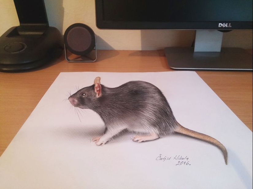 I just want to touch it: hyper-realistic 3D drawings