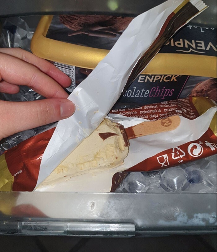 "I live with a monster!" 35 photos of complete chaos from the kings of the mess "I live with a monster!" 35 photos of complete chaos from the kings of the mess