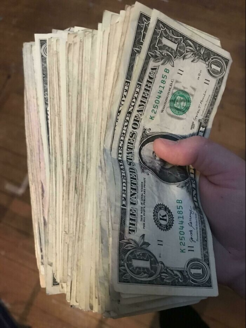 "I live with a monster!" 35 photos of complete chaos from the kings of the mess "I live with a monster!" 35 photos of complete chaos from the kings of the mess