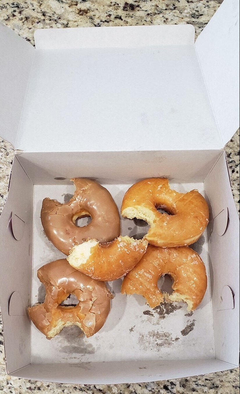 "I live with a monster!" 35 photos of complete chaos from the kings of the mess "I live with a monster!" 35 photos of complete chaos from the kings of the mess