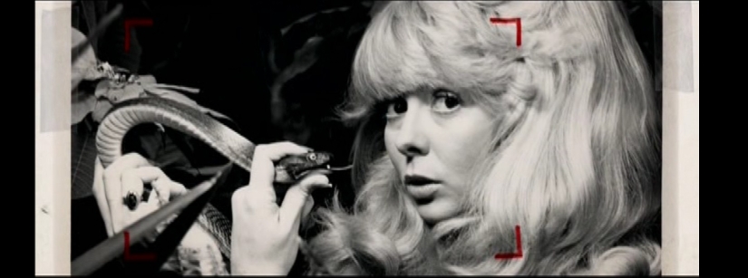 "I loved him so much that I would have climbed Everest with a violet on my nose for him": the story of Joyce McKinney's mad passion "I loved him so much that I would have climbed Everest with a violet on my nose for him": the story of Joyce McKinney's mad passion