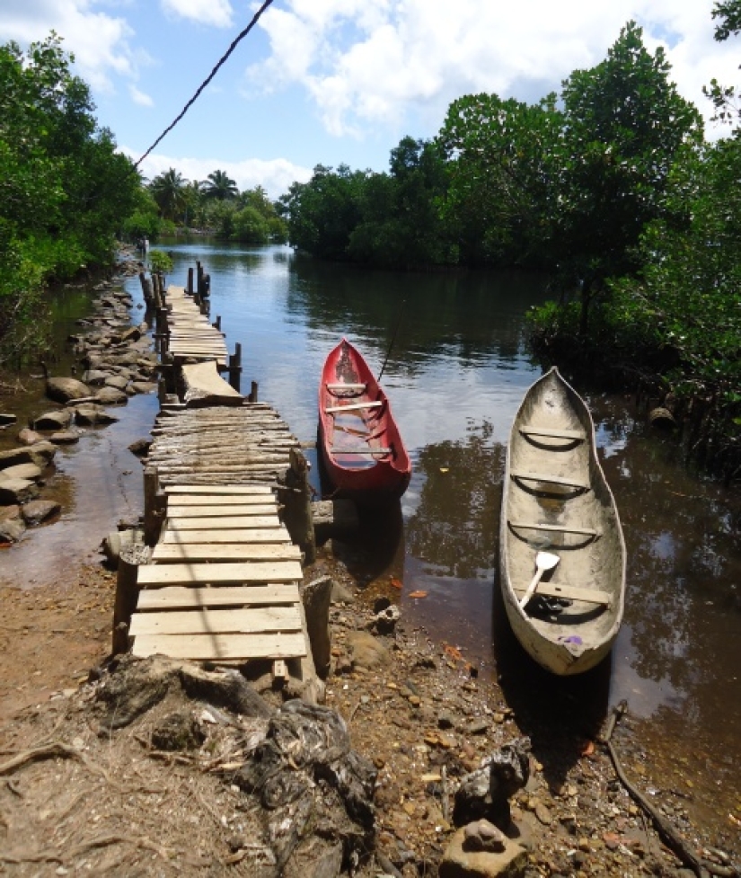 I'll be damned! This is the only surviving pirate graveyard I'll be damned! This is the only surviving pirate graveyard