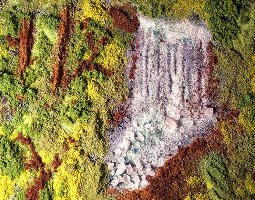 Imagen de la sal y las especias