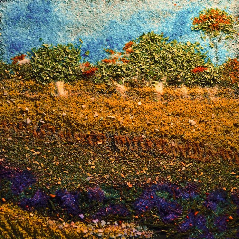 Imagen de la sal y las especias