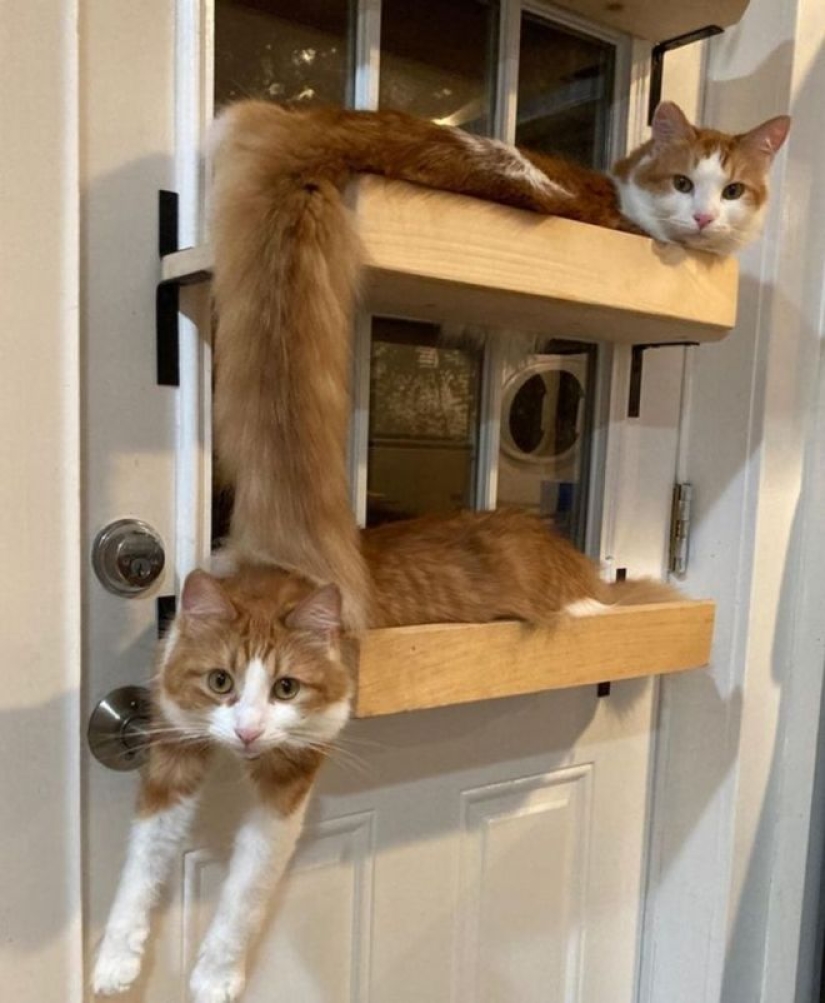 Imaginación, ¿qué estás haciendo?! 22 fotos que necesitas mirar varias veces Imaginación, ¿qué estás haciendo?! 22 fotos que necesitas mirar varias veces