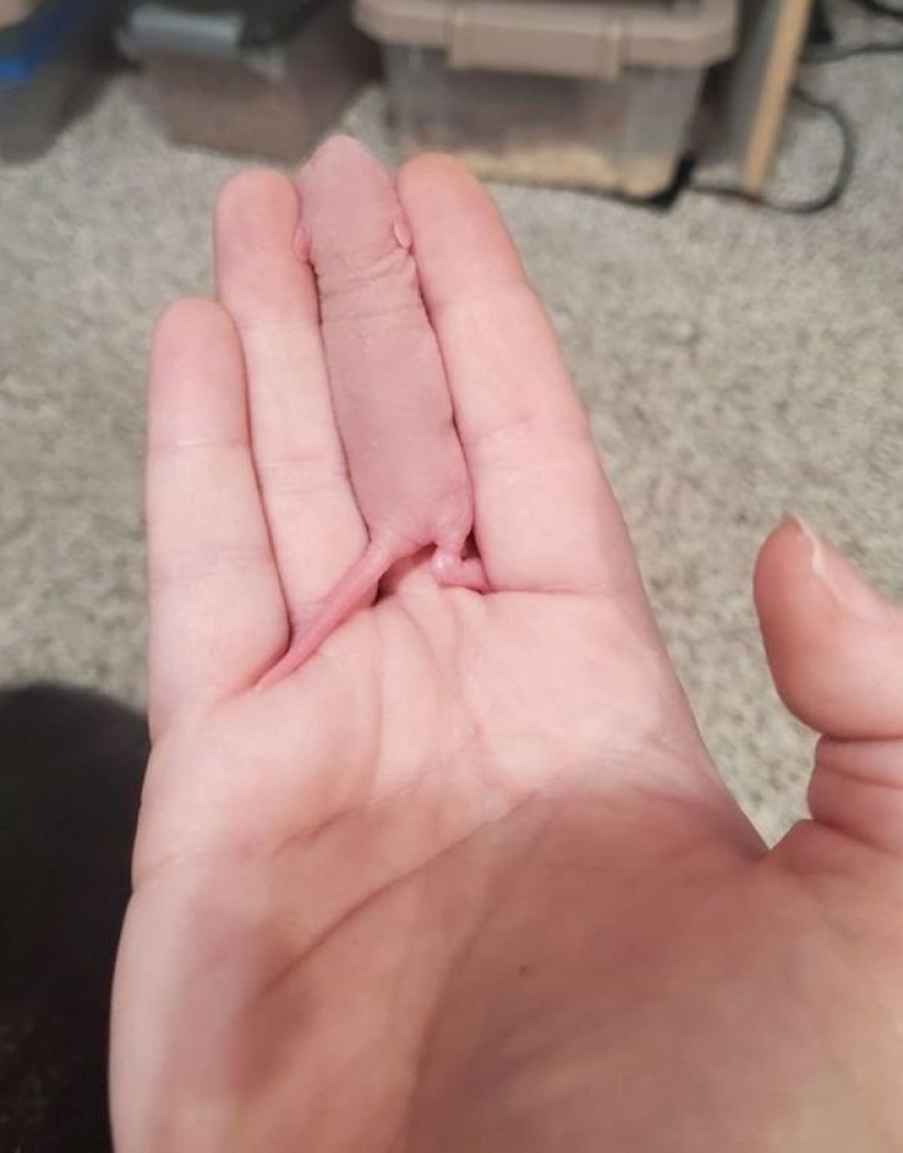 Imaginación, ¿qué estás haciendo?! 22 fotos que necesitas mirar varias veces Imaginación, ¿qué estás haciendo?! 22 fotos que necesitas mirar varias veces