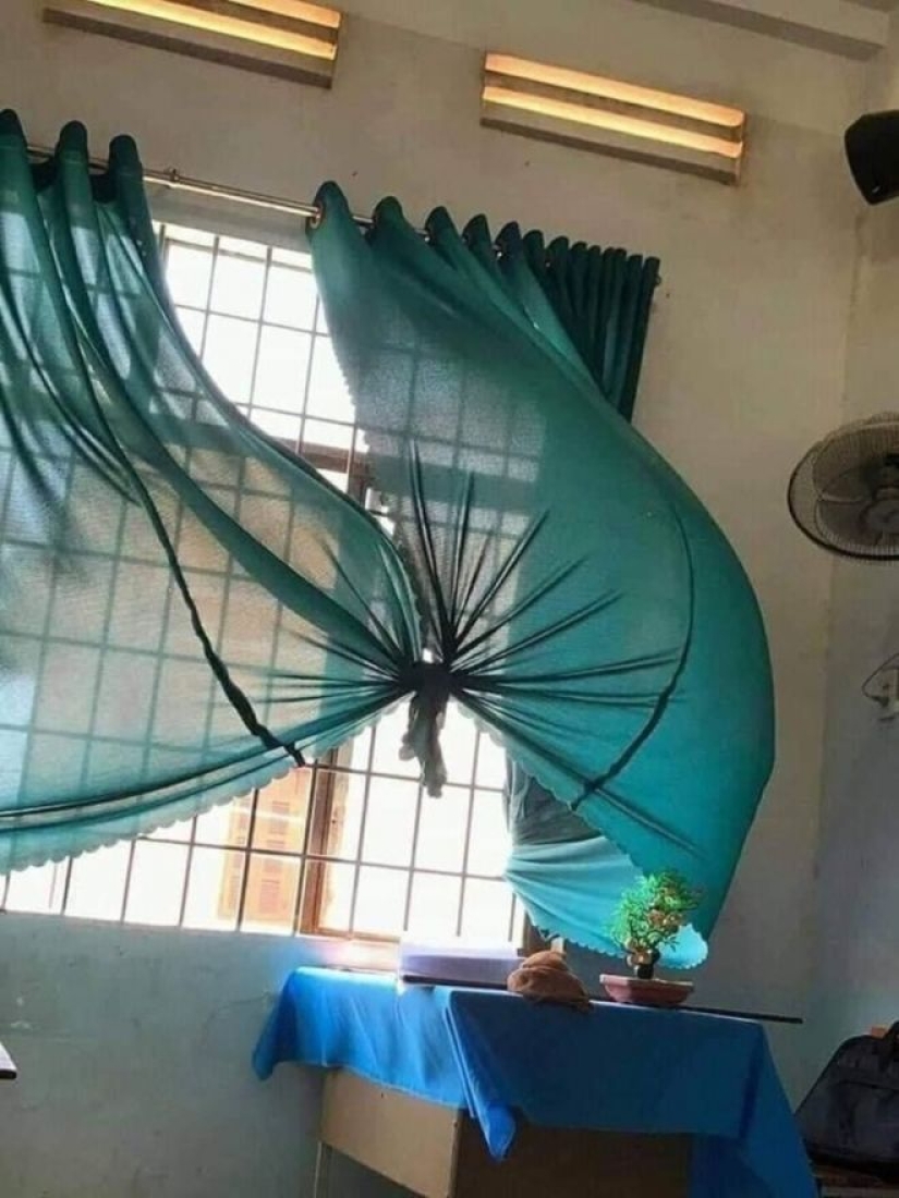 Imaginación, ¿qué estás haciendo?! 22 fotos que necesitas mirar varias veces Imaginación, ¿qué estás haciendo?! 22 fotos que necesitas mirar varias veces