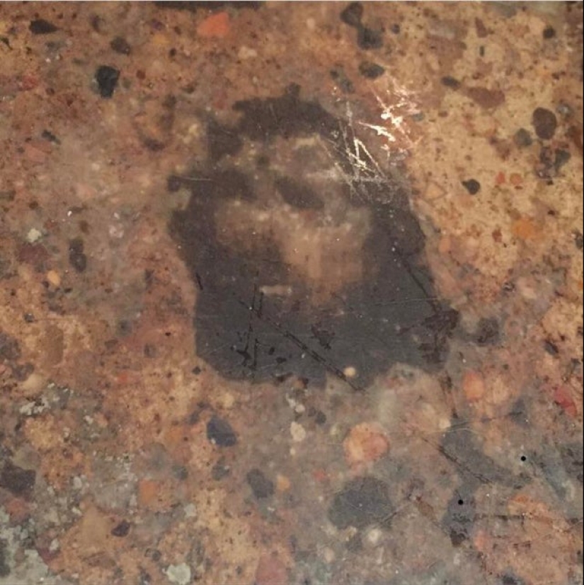 "Imagination Game" — 22 funny examples of pareidolic illusions "Imagination Game" — 22 funny examples of pareidolic illusions