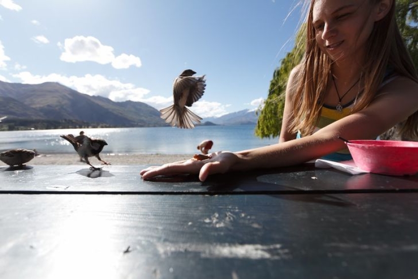 Imagination, what are you doing?! 22 photos that you need to look at several times Imagination, what are you doing?! 22 photos that you need to look at several times