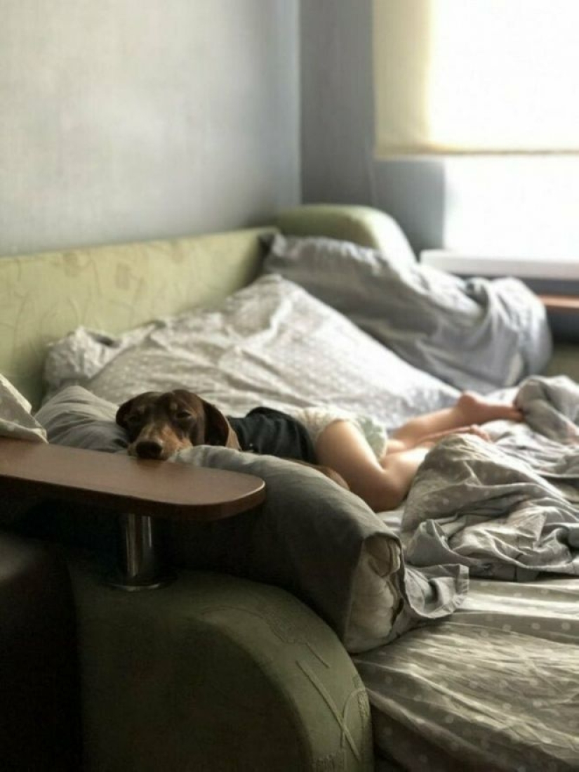 Imagination, what are you doing?! 22 photos that you need to look at several times Imagination, what are you doing?! 22 photos that you need to look at several times