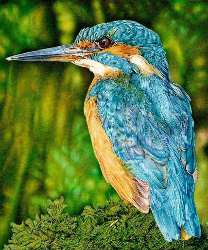 Impresionantes dibujos en bolígrafo de Samuel Silva Impresionantes dibujos en bolígrafo de Samuel Silva