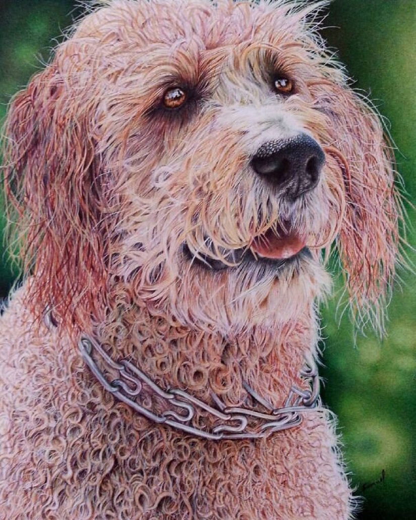 Impresionantes dibujos en bolígrafo de Samuel Silva Impresionantes dibujos en bolígrafo de Samuel Silva