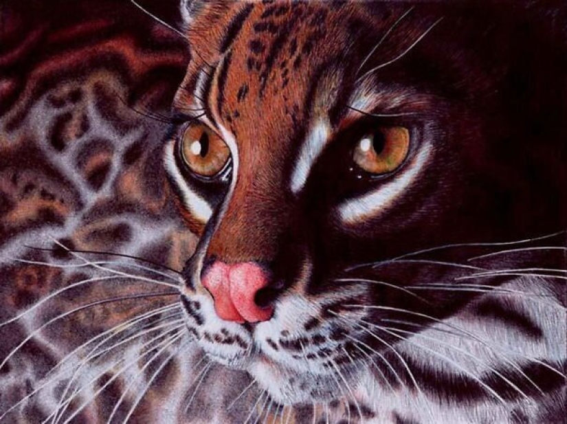 Impresionantes dibujos en bolígrafo de Samuel Silva Impresionantes dibujos en bolígrafo de Samuel Silva