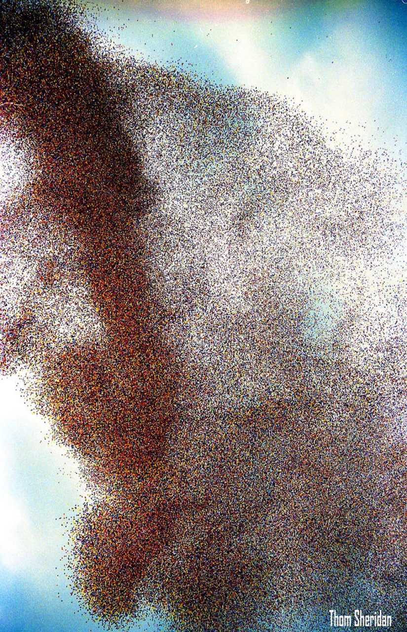 In 1986, Cleveland was attacked by ... balloons In 1986, Cleveland was attacked by ... balloons