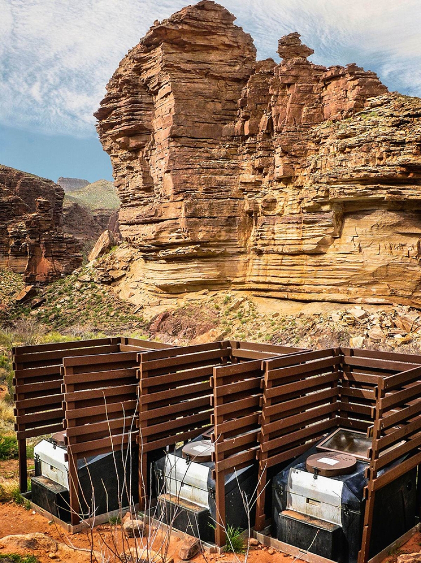 In need, but not in offense: 20 most unusual public toilets In need, but not in offense: 20 most unusual public toilets