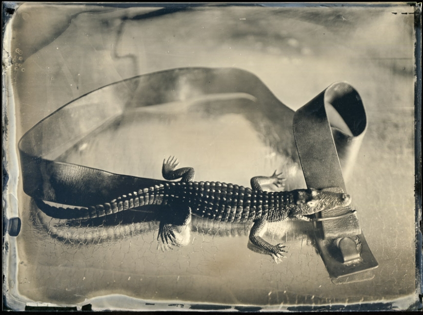 In the fairy world ambrotypes