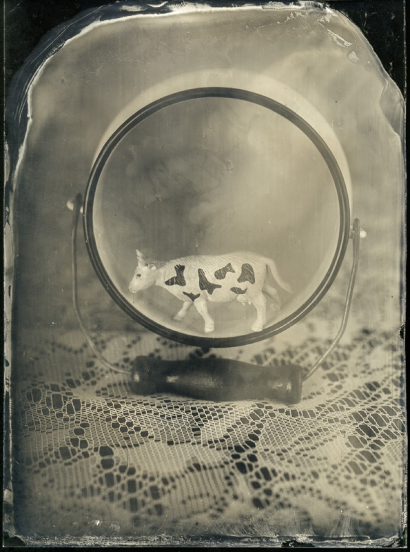 In the fairy world ambrotypes