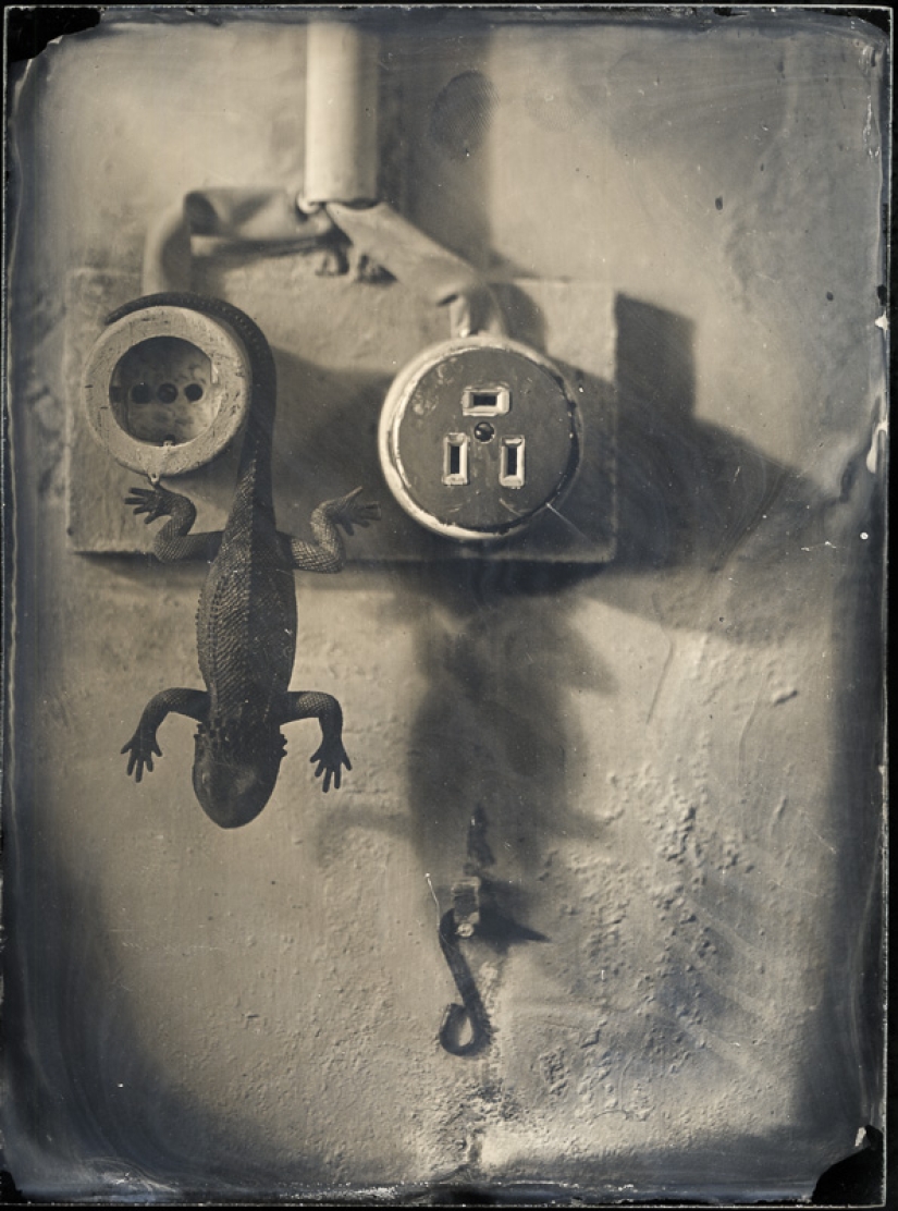 In the fairy world ambrotypes