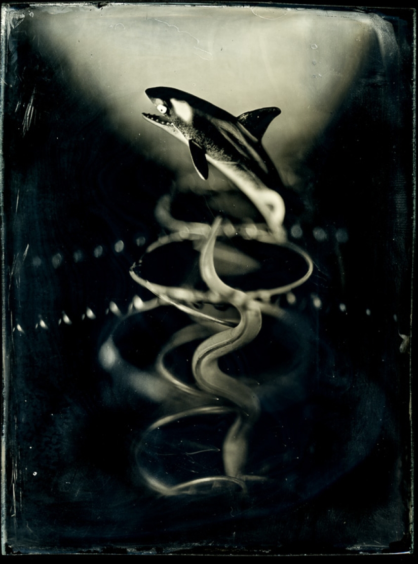 In the fairy world ambrotypes