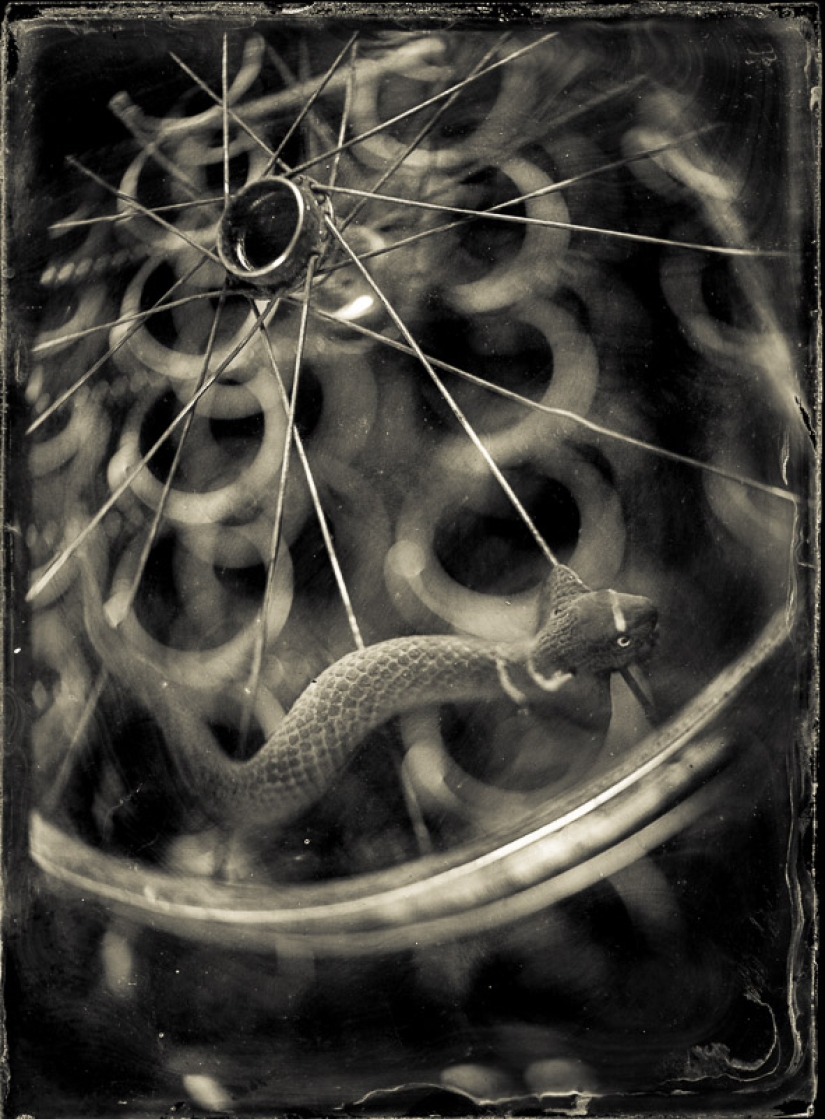 In the fairy world ambrotypes