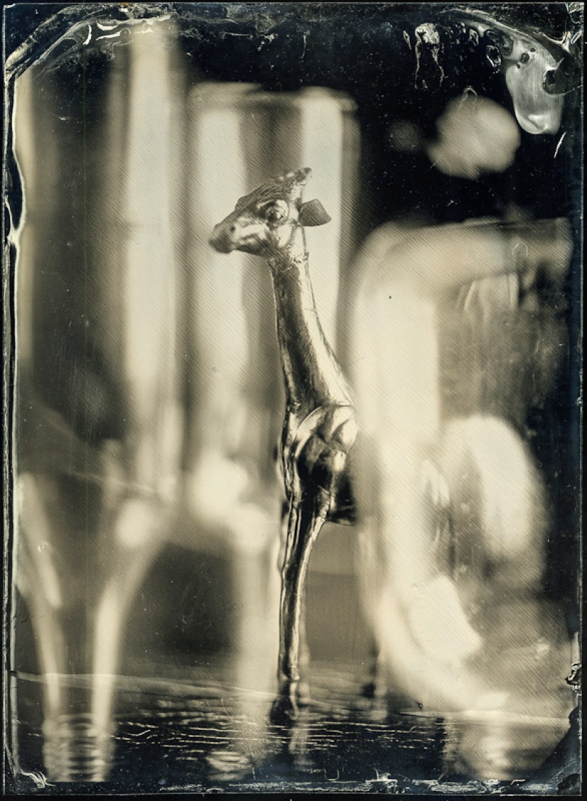 In the fairy world ambrotypes