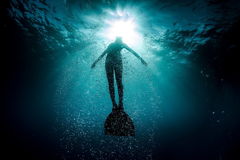 Increíble apnea en la naturaleza