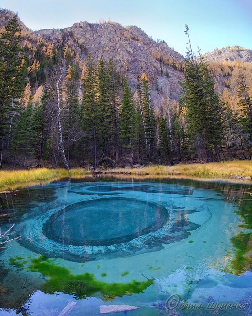 Increíblemente hermosas imágenes, después de ver que usted querrá Altai Increíblemente hermosas imágenes, después de ver que usted querrá Altai