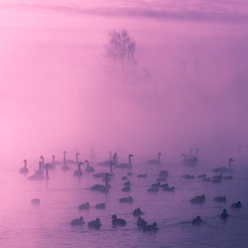 Increíblemente hermosas imágenes, después de ver que usted querrá Altai Increíblemente hermosas imágenes, después de ver que usted querrá Altai