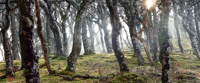 Increíbles fotografías de la naturaleza por el fotógrafo de paisajes James Appleton Increíbles fotografías de la naturaleza por el fotógrafo de paisajes James Appleton