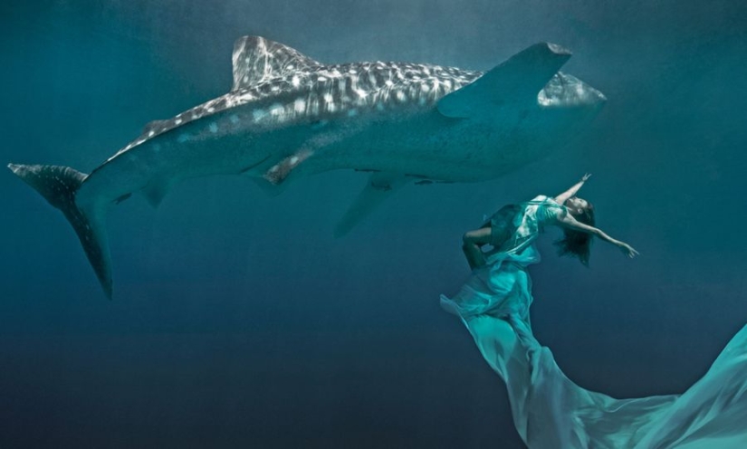 Increíbles retratos de modelos asiáticos y celebridades con animales salvajes