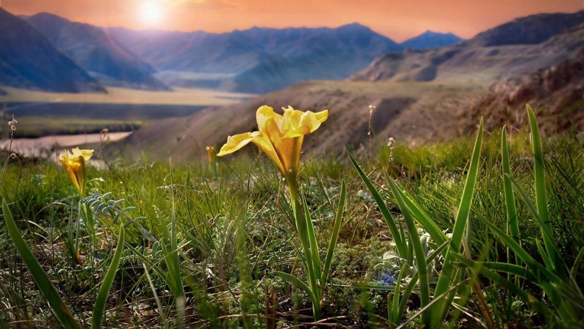 Incredibly beautiful pictures, after seeing that you will want to Altai