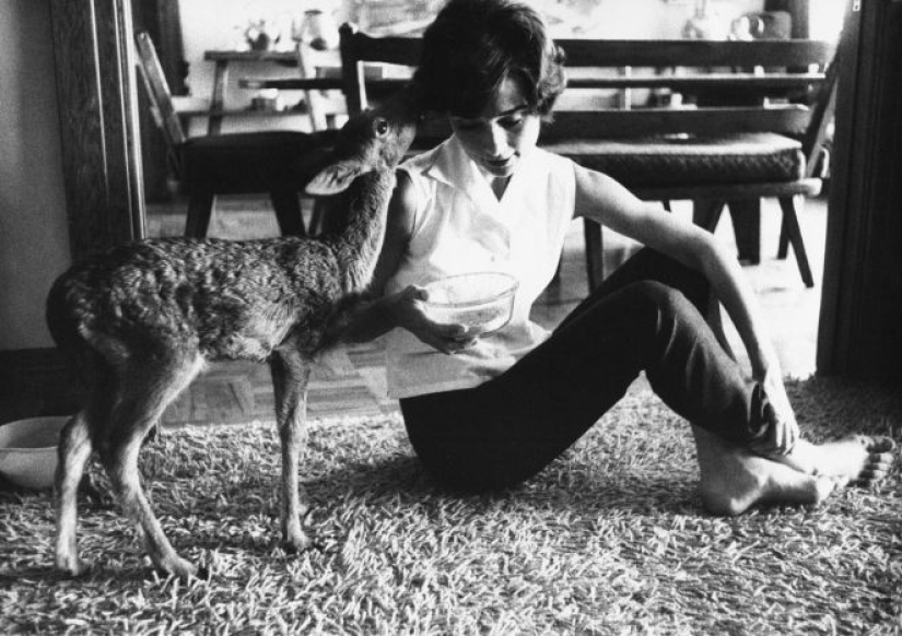 Inspiration: homemade images of Audrey Hepburn